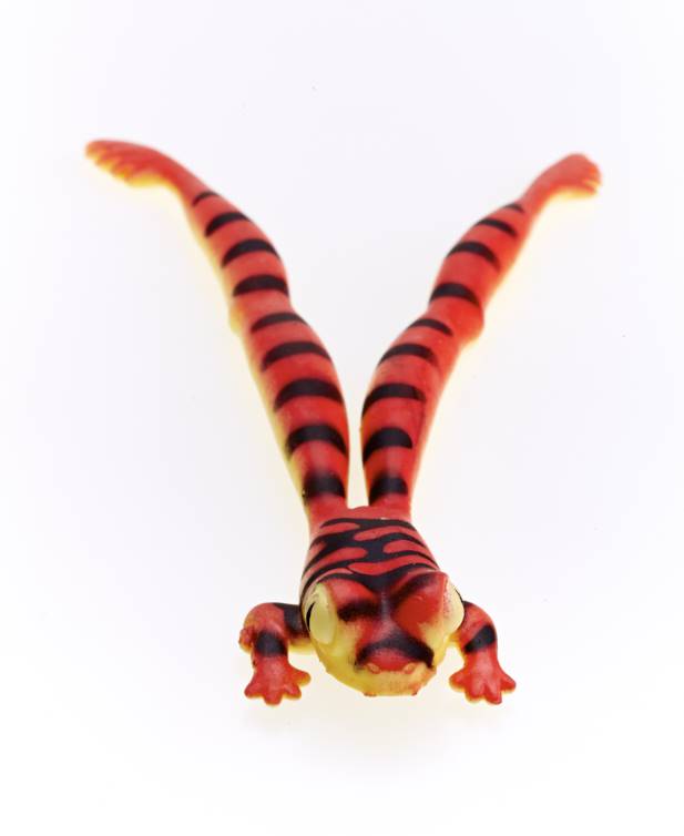 Stretchy Mega Legs Frog - Halloween Fun