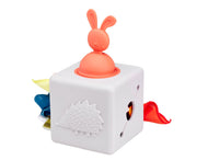 Sensory Pop-Up Tissue Box