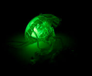 Glow in the Dark Jellyfish