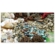 Natural Exploration Starter Pack