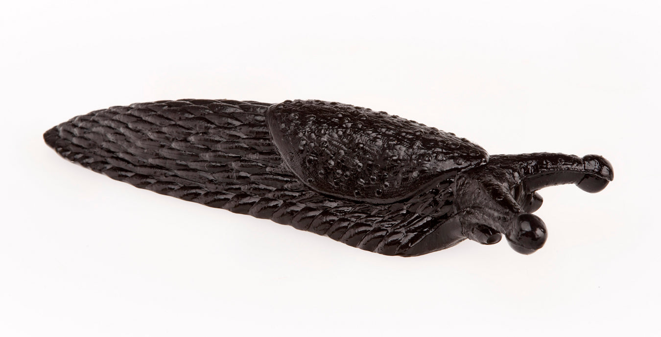 Sticky Slug - Halloween Fun