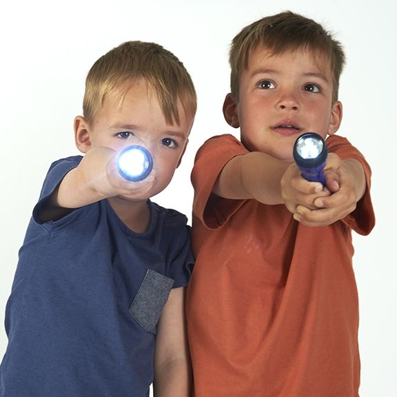 LED Torches - set of 12