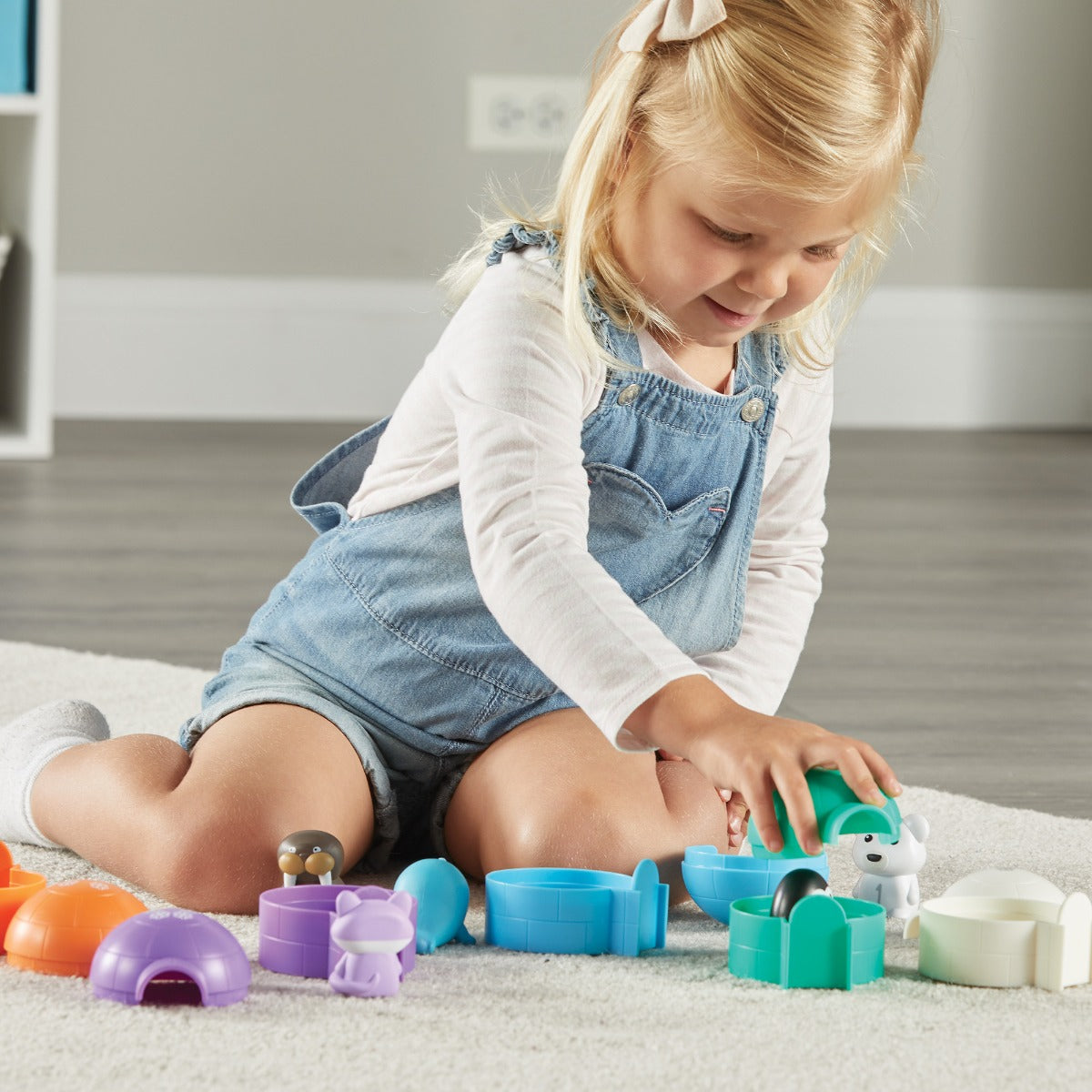 Sort & Seek Polar Animals