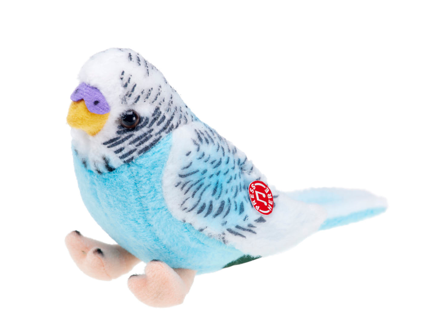 Noisy Budgerigar