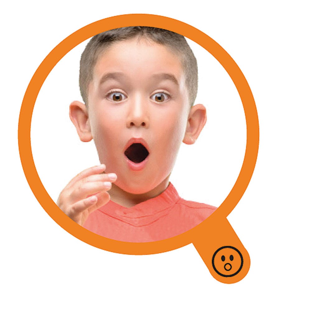 See My Feelings Mirror - set of 4