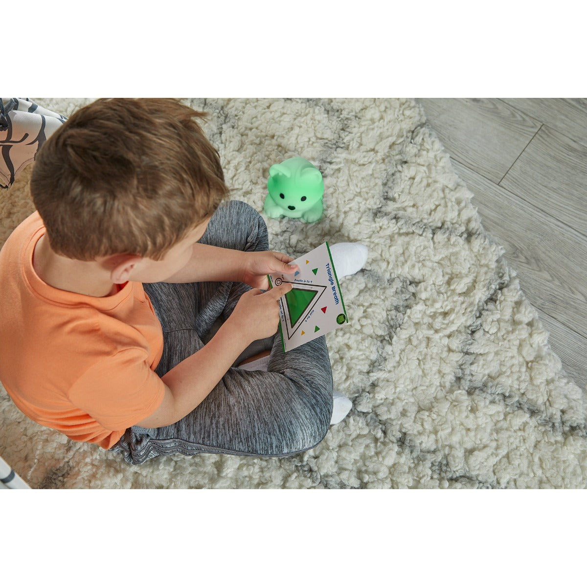 Luna the Calming Kitty