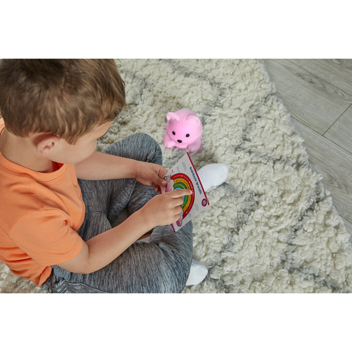 Luna the Calming Kitty