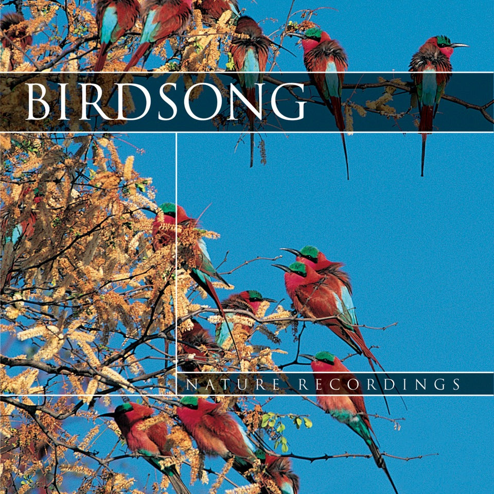 Bird Song