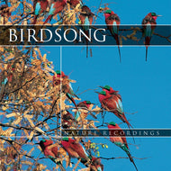 Bird Song