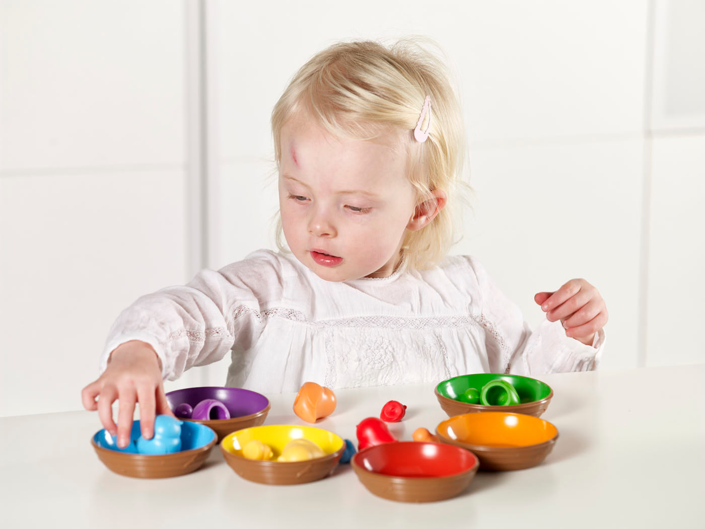 Birds in a Nest Sorting Set