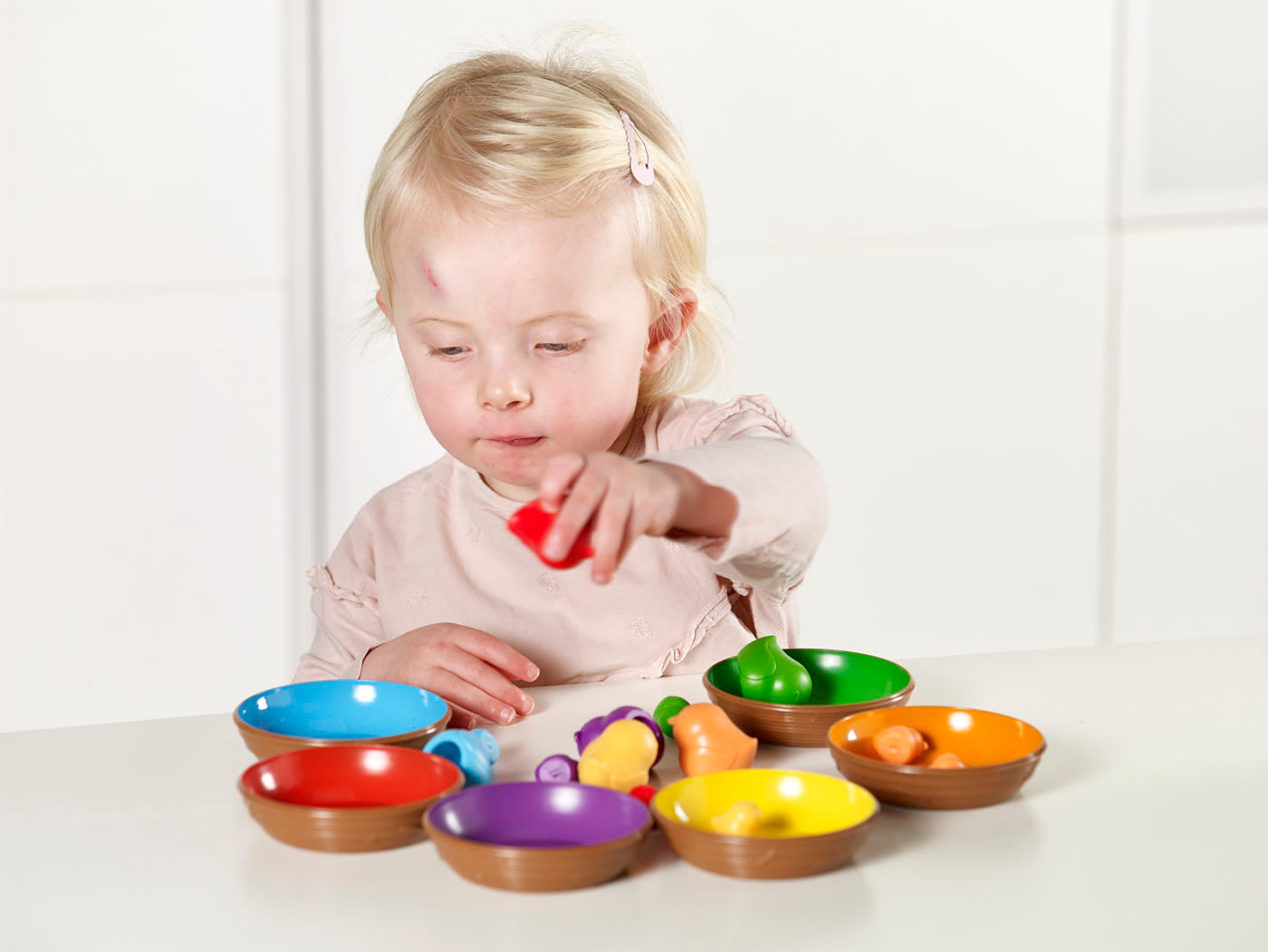 Birds in a Nest Sorting Set