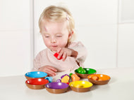 Birds in a Nest Sorting Set