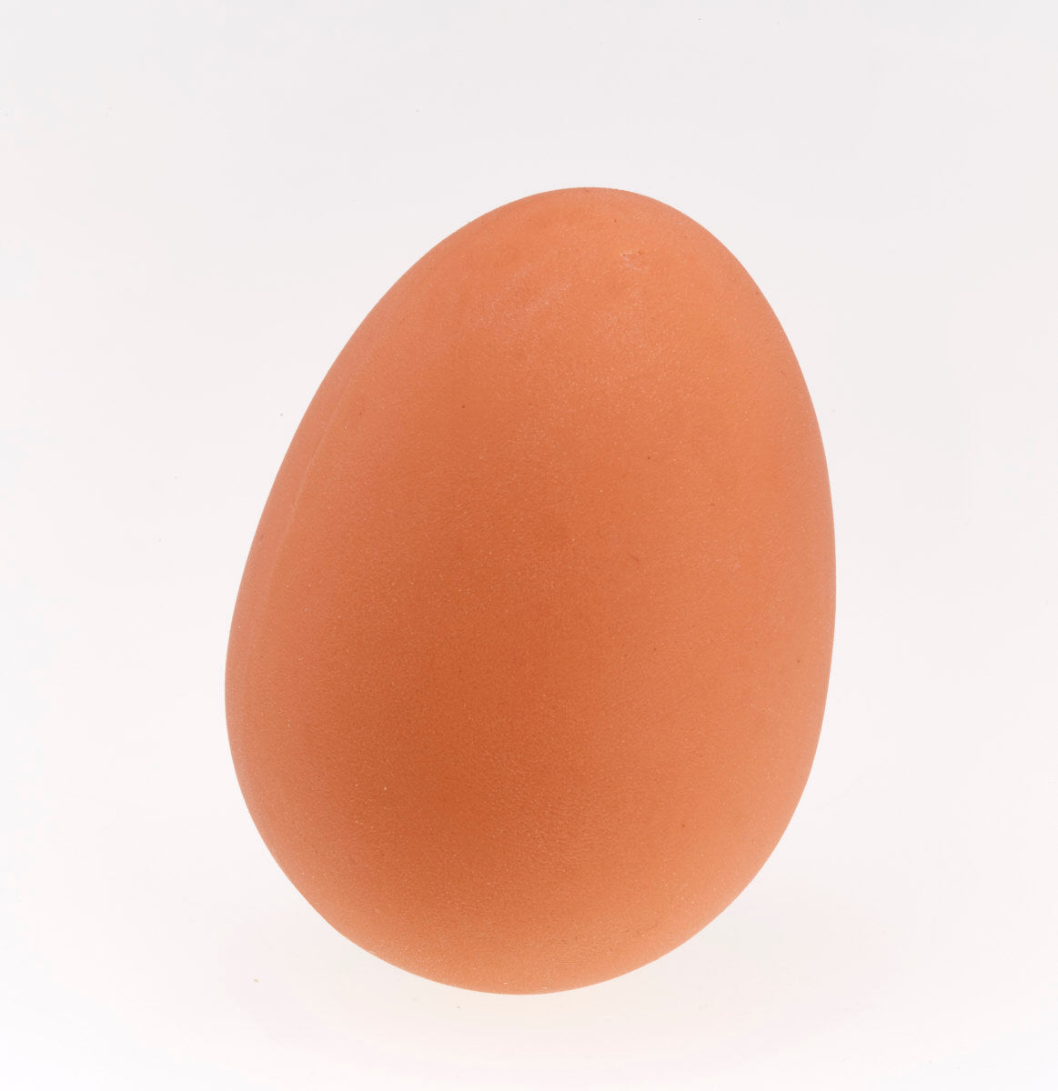 SPRING Themed Natural Exploration Basket