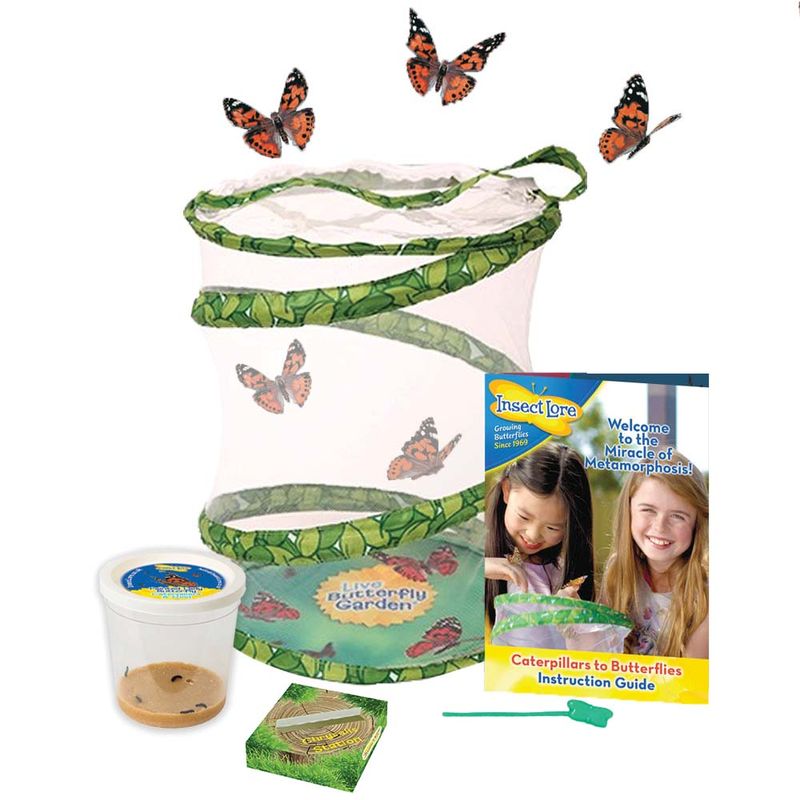 Butterfly Garden