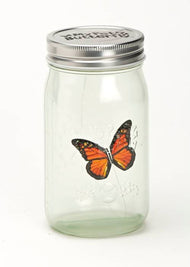 Butterfly in a Jar