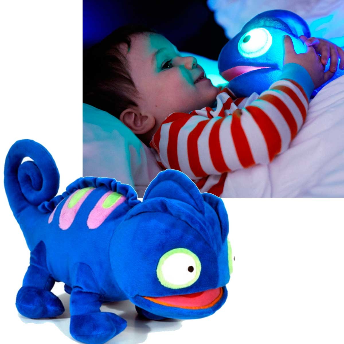 Charley the Chameleon