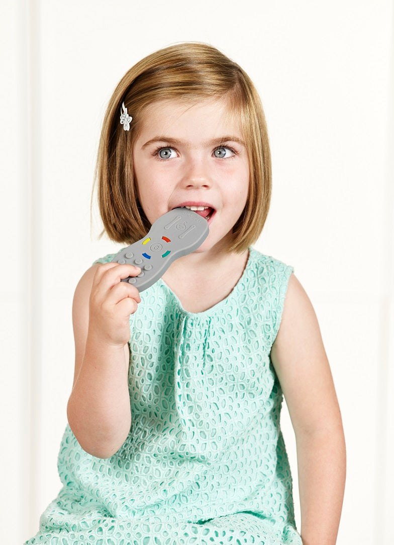 Chewable Chewy Toy Remote