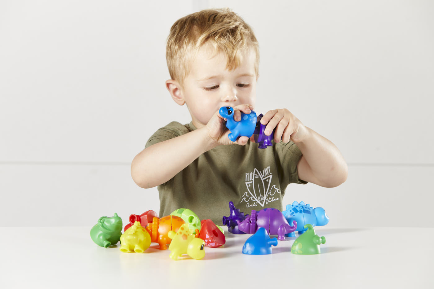 Snap & Learn Matching Dinos