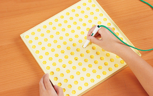 String Along Lacing Set