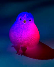 Rainbow Puffer Chicks, set B - green, orange & pink