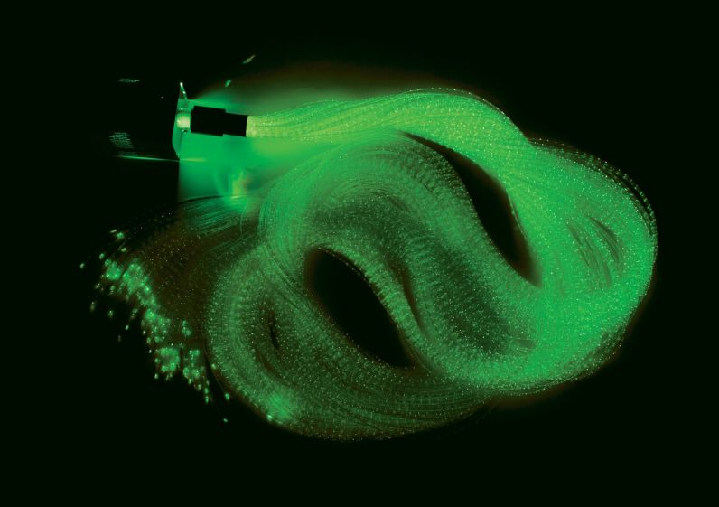 Fibre Optic Harness (no lightsource) - options of colours and sizes available