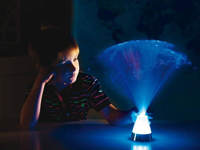 Fibre Optic Ice Lamp - switch adapted