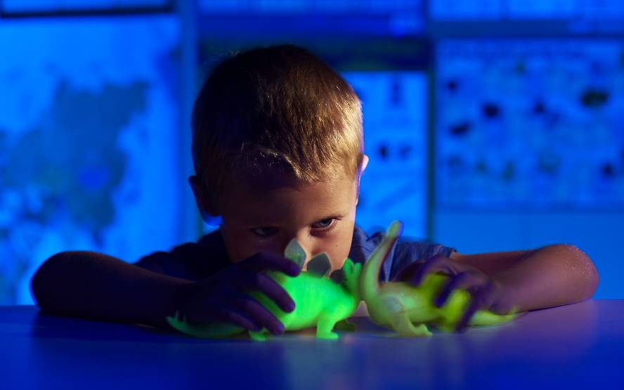 Glow In The Dark Scrunchy Fidget Dinosaur, Single