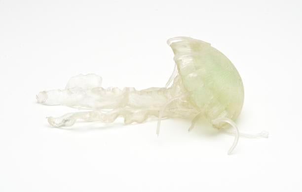 Glow in the Dark Jellyfish