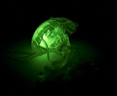 Glow in the Dark Jellyfish