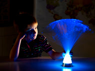 Fibre Optic Ice Lamp