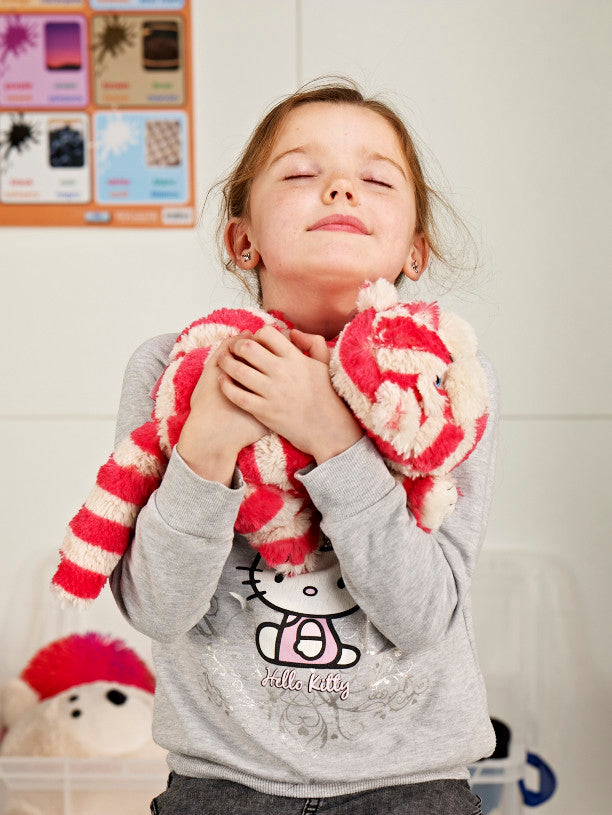 Heat up Cosy Warmie -  Bagpuss - weighted at 2lbs