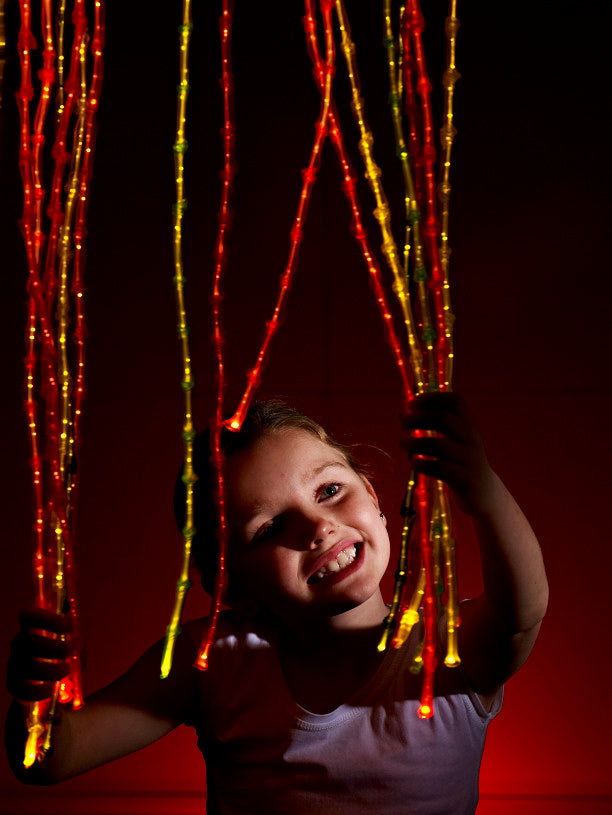 Lightsource & Bamboo Fibre Optic Harness Kit