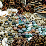 Natural Exploration Starter Pack