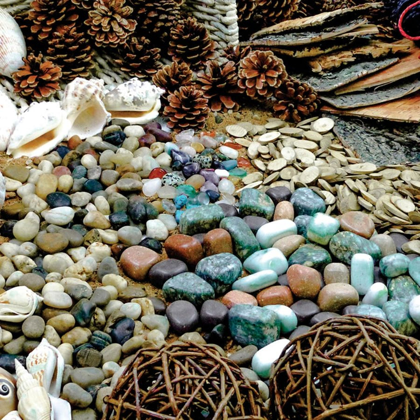 Natural Exploration Starter Pack