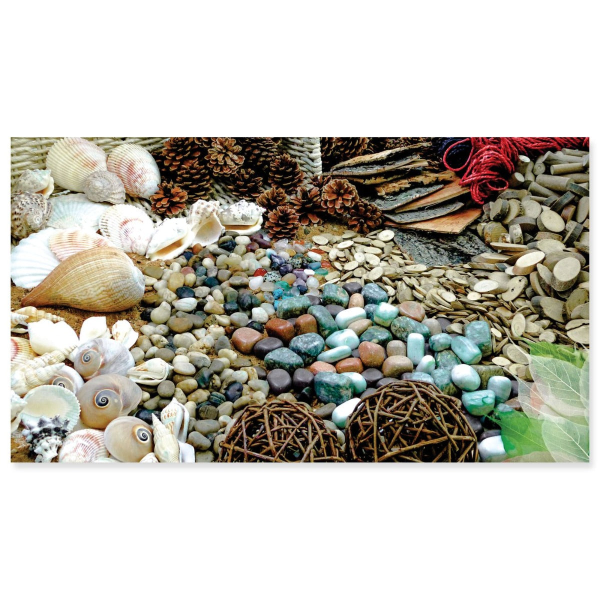 Natural Exploration Starter Pack