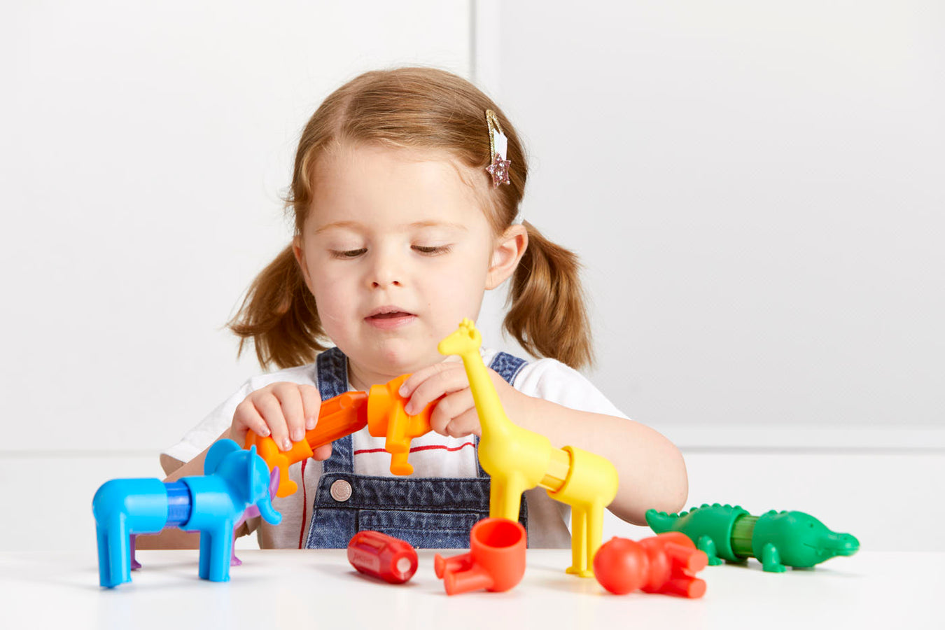 Smartmax Magnetic Safari Set