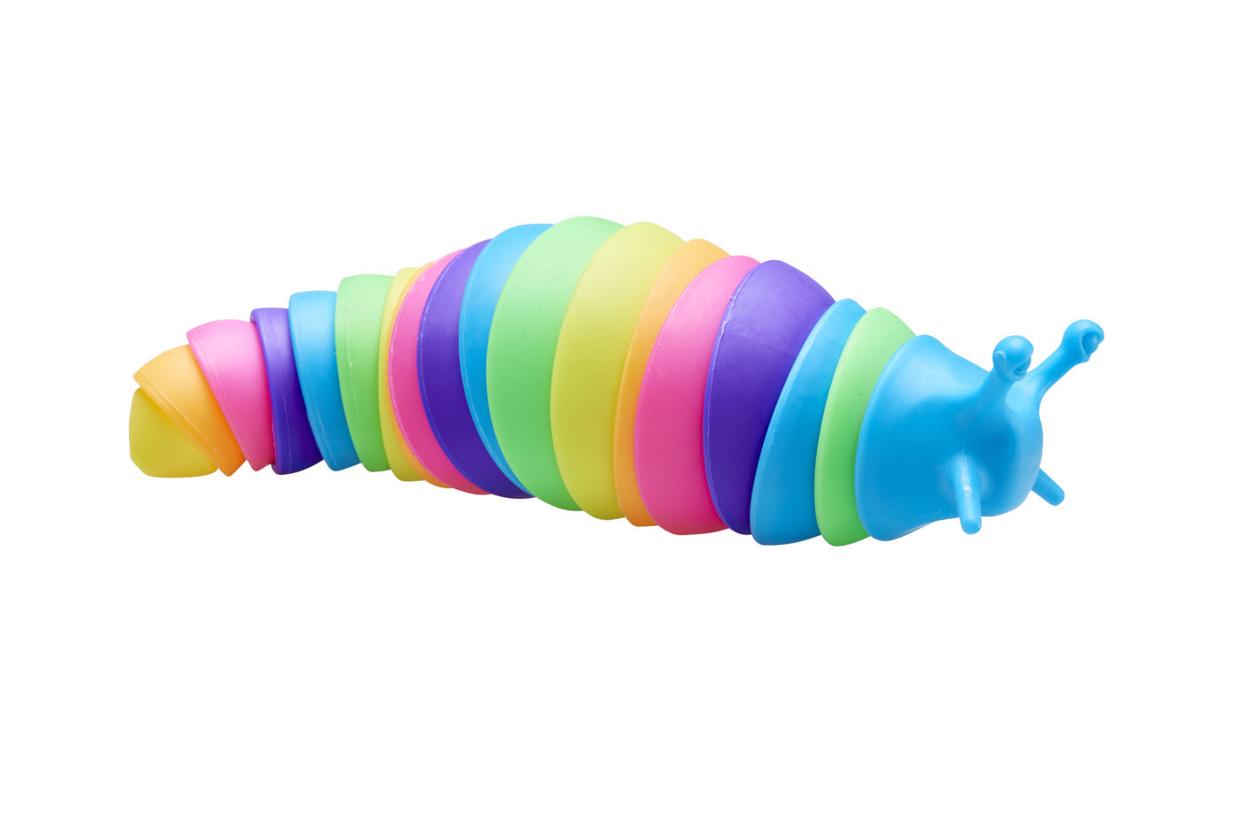 Rainbow Fidget Slug