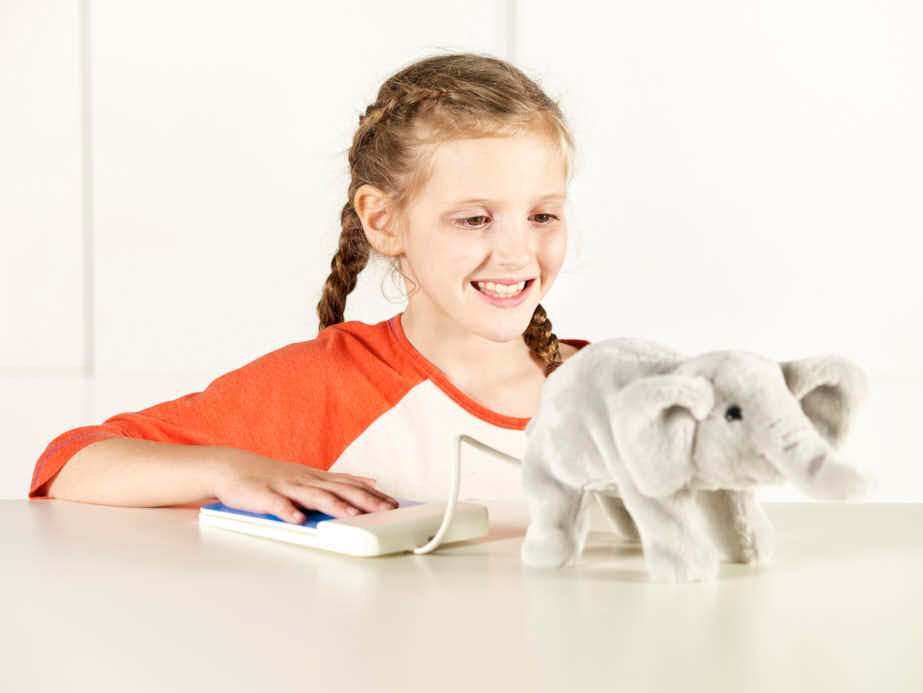 Flippin' Baby Panda - Switch Adapted