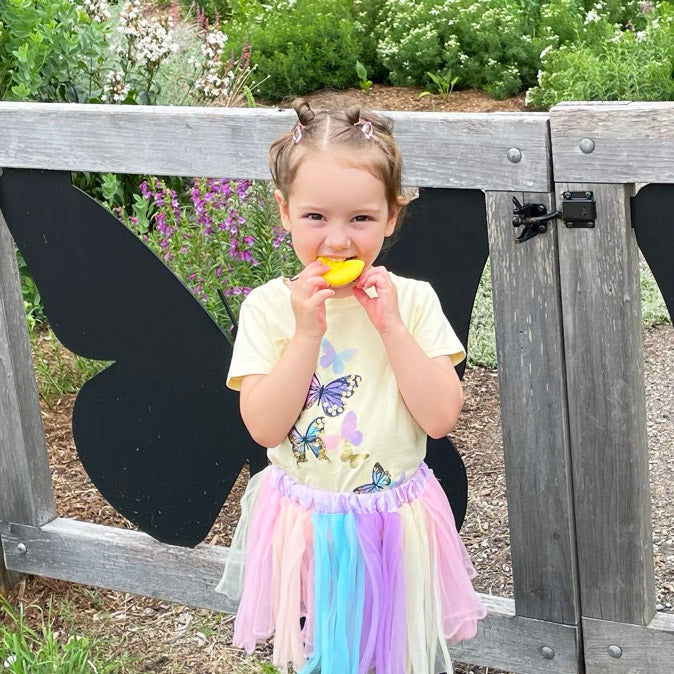 Ark's Seashell Chew Necklace