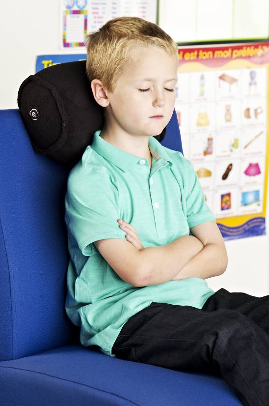 Backrest Massager - Switch Adapted