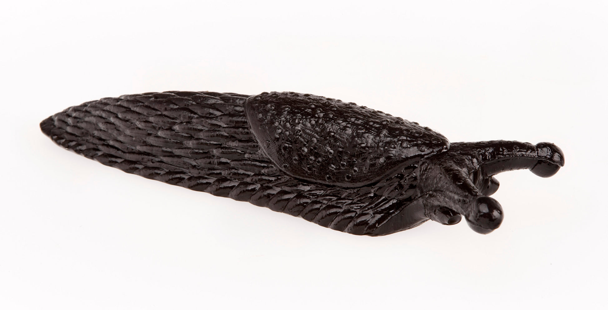 Sticky Slug - Halloween Fun