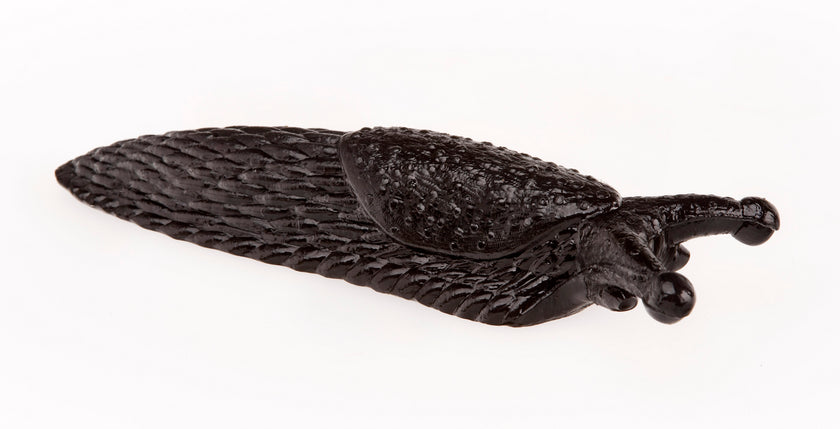 Sticky Slug - Halloween Fun