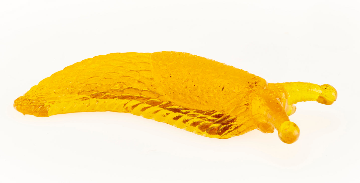 Sticky Slug - Halloween Fun