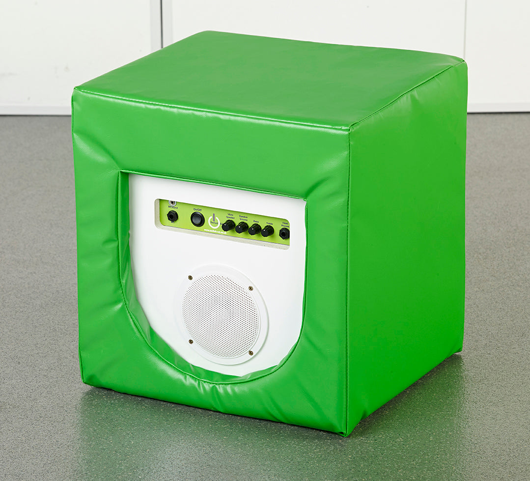 Vibroacoustic Body Cushion