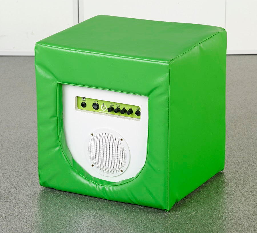 Vibro Acoustic Body Cushion and Speaker