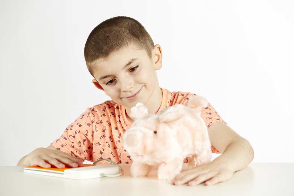 Percy Pig - Switch Adapted