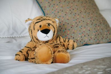 Heat Up Cosy Warmie - Ted the Tiger - weighted at 2lbs