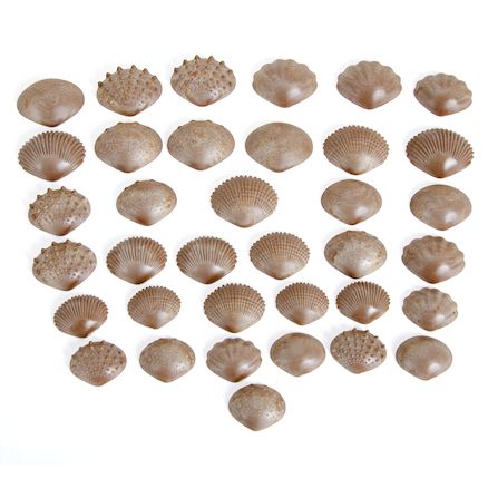 Eco Friendly Tactile Shells