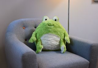 Giant Cuddly Cushie - Fernando Frog 